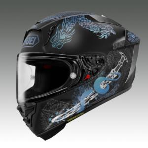ふるさと納税 稲敷市 SHOEI【X-Fifteen OROCHI(BLACK/GREEN)】M PFSチケット付き