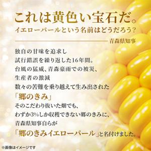 ふるさと納税 青森県 【関東・関西限定】収穫の...の詳細画像1
