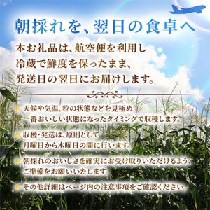 ふるさと納税 青森県 【関東・関西限定】収穫の...の詳細画像2