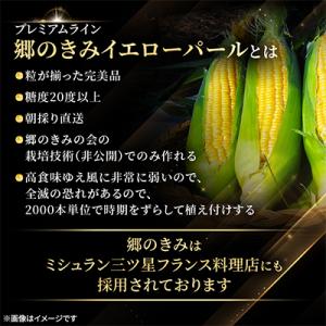 ふるさと納税 青森県 【関東・関西限定】収穫の...の詳細画像3