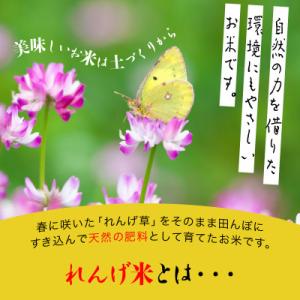 ふるさと納税 日高町 【令和8年産 新米】小浦...の詳細画像1