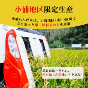 ふるさと納税 日高町 【令和8年産 新米】小浦...の詳細画像2