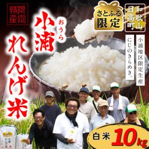 ふるさと納税 日高町 【さとふる限定】【令和8年...の商品画像