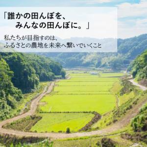 ふるさと納税 日高町 【令和8年産 新米】小浦...の詳細画像3