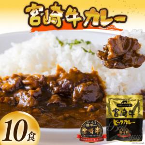 宮崎牛カレー(160g×10食)