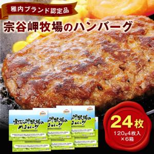 【稚内ブランド認定品】宗谷岬牧場のハンバーグ　120g4枚入×6箱(合計24枚)