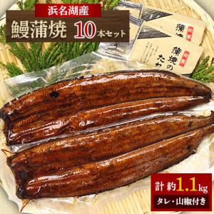 【浜名湖産】 鰻蒲焼2本5セット