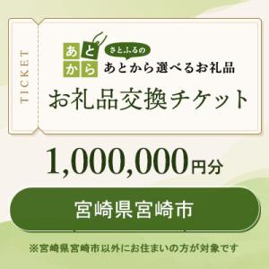 ふるさと納税 宮崎市 宮崎県宮崎市　お礼品交換チケット　1,000,000円分