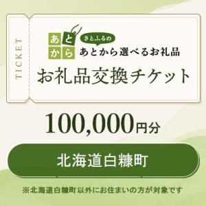 ふるさと納税 白糠町 北海道白糠町　お礼品交換チケット　100,000円分