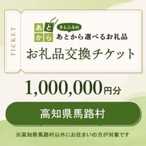 ふるさと納税 馬路村 高知県馬路村　お礼品交換チケット　1,000,000円分