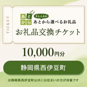 ふるさと納税 西伊豆町 静岡県西伊豆町　お礼品交換チケット　10,000円分