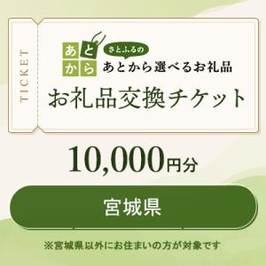 ふるさと納税 宮城県 宮城県　お礼品交換チケット　10,000円分