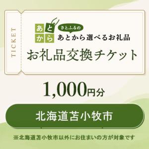 ふるさと納税 苫小牧市 北海道苫小牧市　お礼品交換チケット　1,000円分