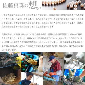 ふるさと納税 西予市 <明浜産真珠ネック...の詳細画像1