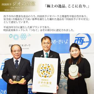 ふるさと納税 西予市 <明浜産真珠ネック...の詳細画像3