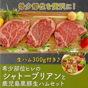 ふるさと納税 南九州市 希少部位ヒレのシャトーブリアンと鹿児島黒豚生ハムセット