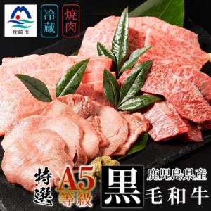 ふるさと納税 枕崎市 鹿児島県産 黒毛和牛 A5等級 特選 焼肉 セット 食べ比べ 4種盛 ロース カルビ ハラミ タン