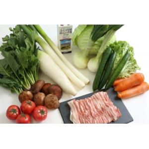 ふるさと納税 富士宮市 旬の野菜とお肉の詰め合わせ