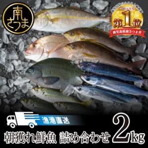 【漁港直送】朝獲れ鮮魚 詰め合わせ 2kg