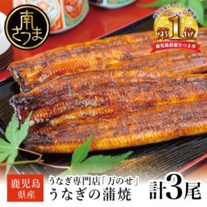 【鹿児島県産 鰻】うなぎ専門店「万のせ」 うなぎ蒲焼3尾