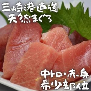 ふるさと納税 三浦市 天然マグロお刺身セット(中トロ赤身・希少部位)