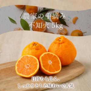 農家の手摘み不知火 約5kg 家庭用〈先行受付〉_S040-011A