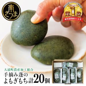 ふるさと納税 南さつま市 【鹿児島の郷土菓子】手摘み よもぎ餅 4個×5袋 計20個