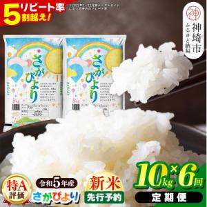 ふるさと納税 神埼市 【定期便6ヶ月】令和5年産 さがびより10kg (H015132)