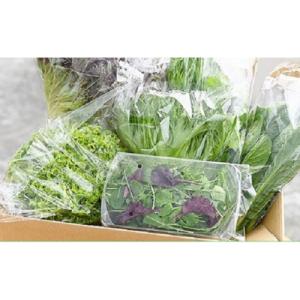 ふるさと納税 美濃加茂市 水耕栽培 新鮮 葉物野菜Aセット