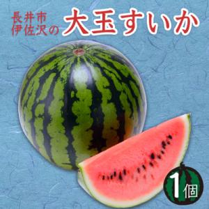 【2026年発送】長井市伊佐沢の大玉すいか約6～8kg×1玉_H055(R8)