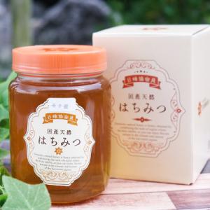 ふるさと納税 小郡市 はちみつ 国産 100%...の詳細画像1
