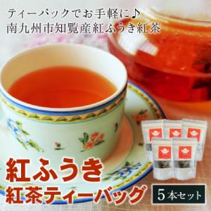 ふるさと納税 南九州市 【けやき製茶】紅ふうき紅茶ティーバッグ5本セット