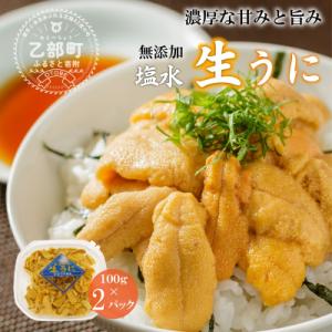 <小川の塩水ウニ 100g×2パック>鮮度抜群!ミョウバン不使用のうに本来の味をお楽しみください!