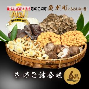 ふるさと納税 愛別町 きのこ詰合せ(6種類)セット
