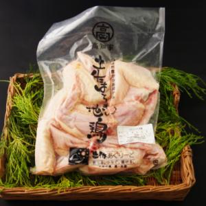 ふるさと納税 室戸市 はちきん地鶏手羽先1kg BBQ キャンプ バーベキュー