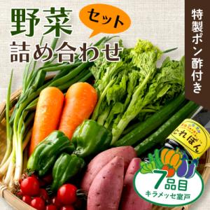 ふるさと納税 室戸市 野菜7種とポン酢セット