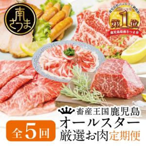 【定期便 全5回】オールスター厳選お肉定期便<お試し版>牛肉・豚肉・肉加工品