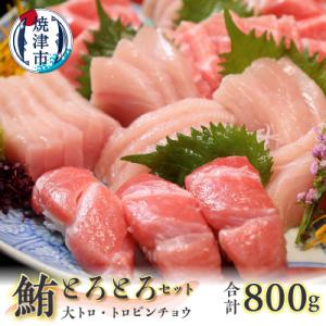 ふるさと納税 焼津市 鮪とろとろセット 約800g(a20-371)