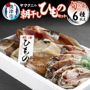 【チルドでお届け】朝干しひものセット6種以上!(a15-383)