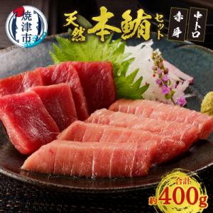 ふるさと納税 焼津市 『まぐろの魚二』天然本鮪中トロ・赤身約400gセット(a17-020)
