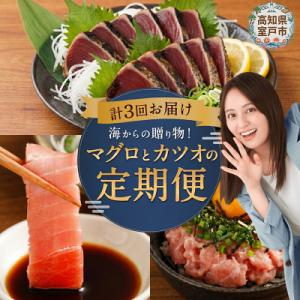 海からの贈り物!マグロとカツオの定期便【3回お届け】