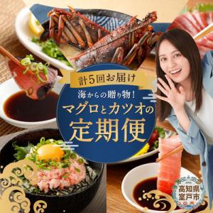 海からの贈り物!マグロとカツオの定期便【5回お届け】【コロナ支援 訳あり】