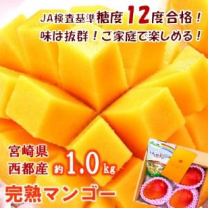 【約1kg】糖度12度以上(JA西都)ご家庭用完熟マンゴー西都産【先行受付】[1237]