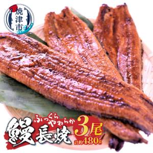 ふるさと納税 焼津市 うなぎ長焼 3尾(a23-009)