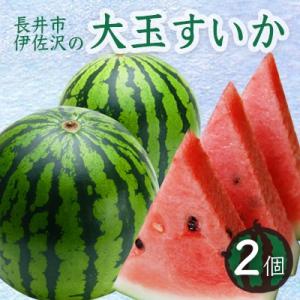 【2026年発送】長井市伊佐沢の大玉すいか約8～11kg×2玉_H054(R8)