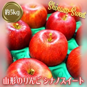 ふるさと納税 長井市 【2024年10月〜11月発送分先行受付】山形のりんご(シナノスイート)約5k...