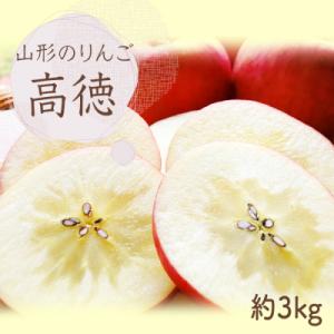 ふるさと納税 長井市 【2026年発送】山形のりんご(高徳)約3kg_H140(R8)