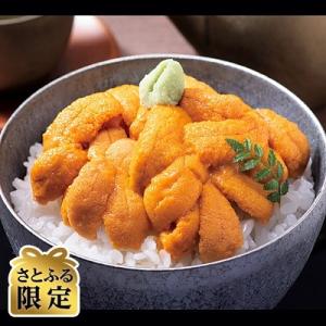 ふるさと納税 滝川市 【さとふる限定】ななつぼし2kgと「塩水ウニ」×1パック