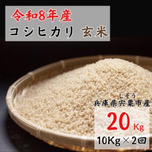 【 令和8年産 新米 受付開始 】しそうのおいしい お米 コシヒカリ 玄米 20kg　X1