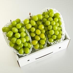 上山市 ふるさと納税 ぶどう(シャインマスカット)3〜5房　0020-2006｜y-sf